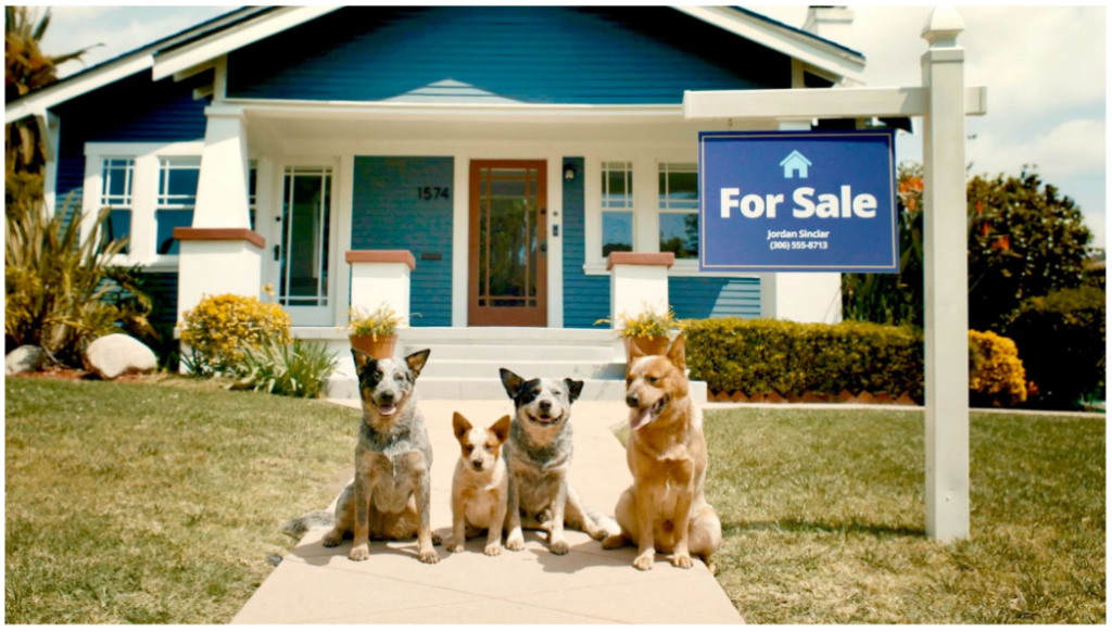 Zillow references Bluey moving episode in latest spot